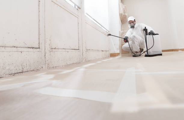 24/7 Emergency Mold Cleanup experts in Georgetown, CO